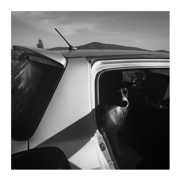 475 :: Ride